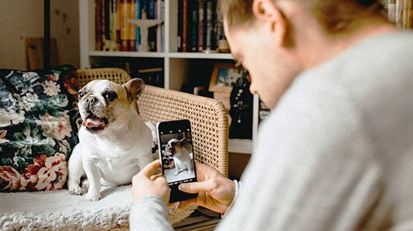 Hints for making the Best Canvas Art for your pet Canvas Printing CanvasJet.com