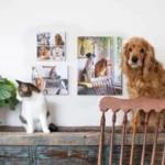 Photo Canvas Printing